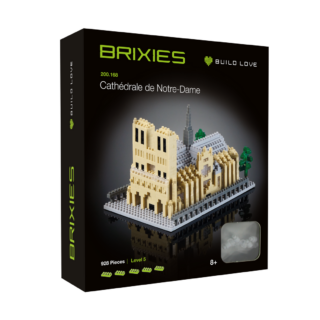 BRIXIES Kathedrale Notre-Dame Klemmbaustein Set